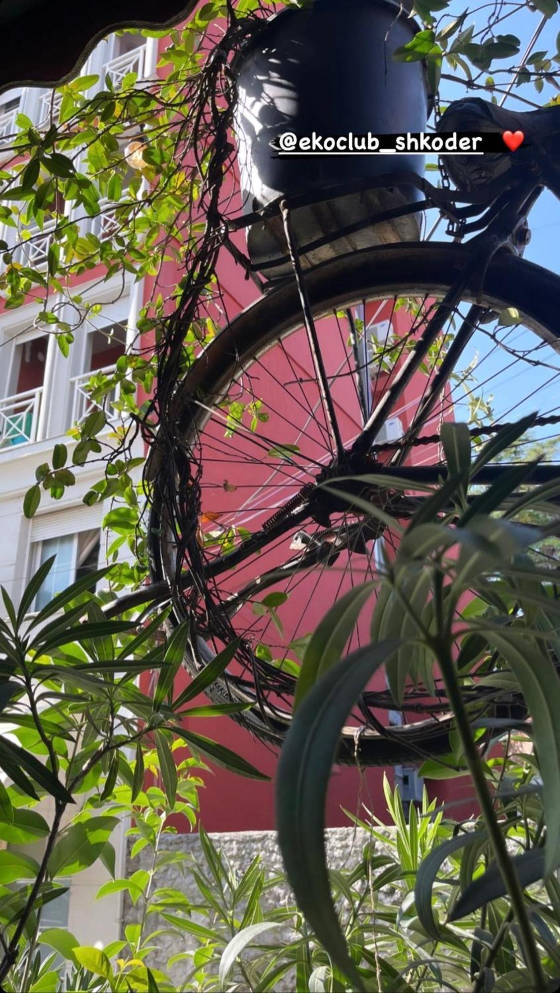 Pedestrian Street Center Apartment شكودر المظهر الخارجي الصورة